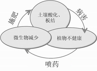 化肥不等于科學(xué)，請(qǐng)客觀評(píng)判！